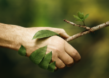 Зелен поимник: Движење за конзервација