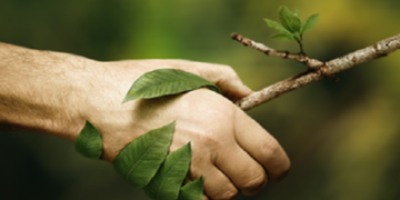 Зелен поимник: Движење за конзервација