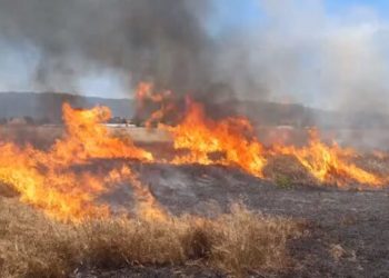 Пожар на скопската депонија „Вардариште“