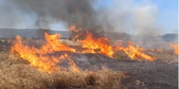 Пожар на скопската депонија „Вардариште“