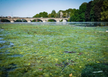 Сушата ја заострува енергетската криза