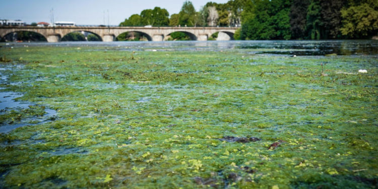 Сушата ја заострува енергетската криза