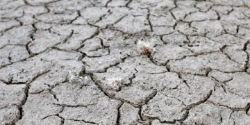 Европска комисија: Две третини од Европа е во состојба на тревога од тешка суша