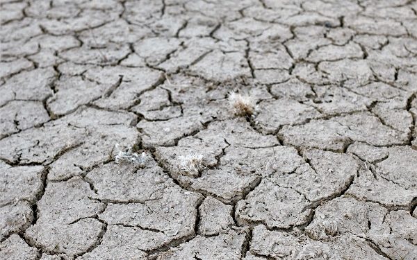 Европска комисија: Две третини од Европа е во состојба на тревога од тешка суша