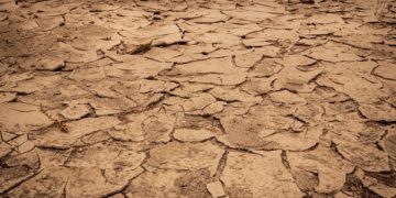 Конверзејшн: Технолошки напредно општество избира да се уништи себеси