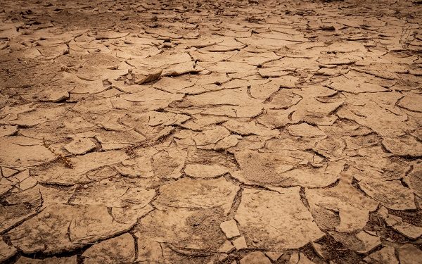 Конверзејшн: Технолошки напредно општество избира да се уништи себеси