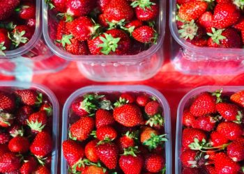 Наместо пластични кеси, спреј за овошје и зеленчук кој се мие со вода – Колку е безбедно ова револуционерно откритие?