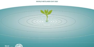 Светски ден на водните живеалишта – Национален попис, обновување и едукација за водните живеалишта