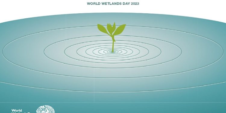 Светски ден на водните живеалишта – Национален попис, обновување и едукација за водните живеалишта