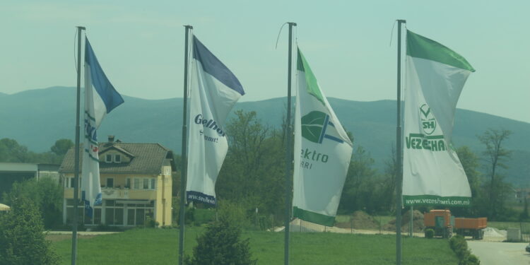 Догани,„Везе Шари“: Енергетската криза ја докажа потребата од алтернативни извори на енергија