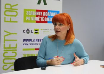 Пешева: Постојано треба да е вклучен алармот дека животната средина е врвен приоритет, економијата ни страда од загадувањето