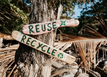 Зошто реупотребата на производи нема да придонесе за вистинската циркуларна економија во  Европа?