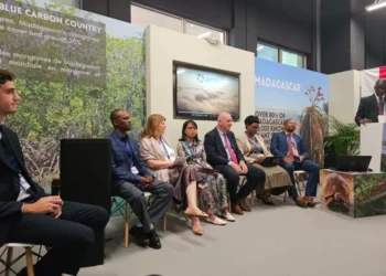 Шукова од COP 28: Преку инструментот за зелено финансирање ќе се забрза енергетска транзиција